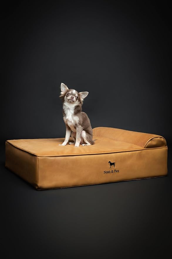 NOAH & PAW Dog Bed, 28x23x7.5 Inch, Orthopedic Dog Beds for Medium Size Pets, Eggshell Memory Foam Infused with Cooling Gel, Waterproof, Machine Washable, Includes Inner Cover (Faux Leather)