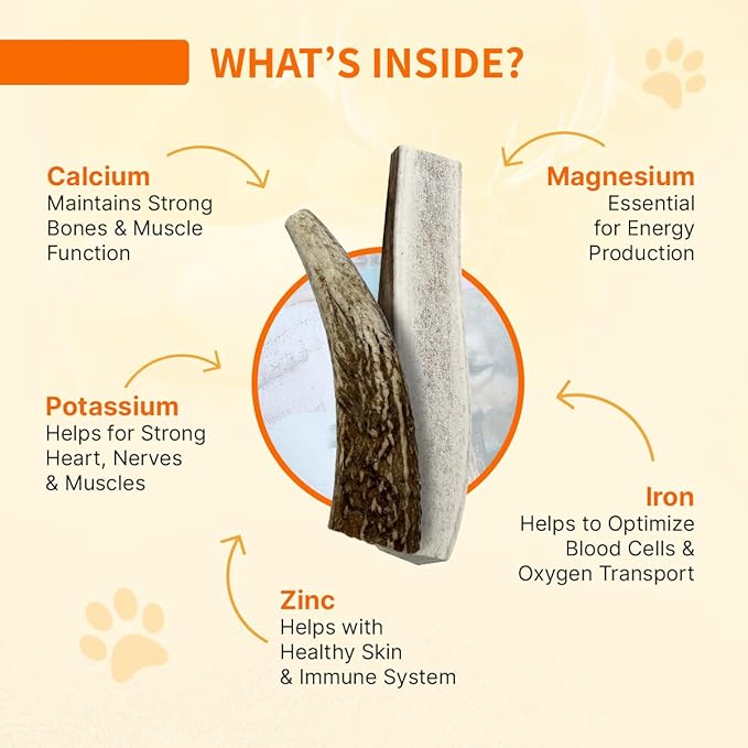 Tibetan Elk Antler for Large Dogs, Grade-A, Premium Antler Chews, Naturally shed Healthy & Longer Lasting Aggressive chewers, USA Product (Split)