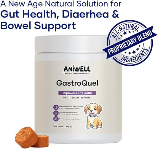 GastroQuel: A New Age Natural Solution for Gut Health, Diaerhea & Bowel Support for Dogs (1)