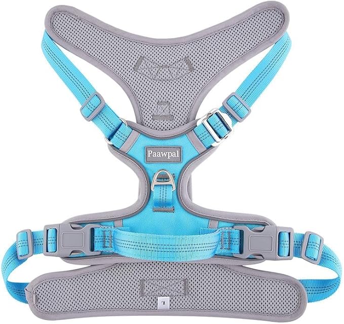 Adjustable Dog Harness - No Pull, Reflective, Soft Padded for Small, Medium, Large Dogs - Includes Leash Turquoise M