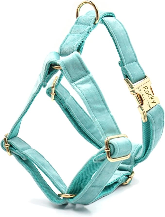 Personalized Velvet Dog Collars with Pet Name Phone Number Engraved, Custom Adjustable Soft Collar with Metal Buckle for Small Medium Large Dogs, Dog Leash and Bow Tie Available -Lake Green