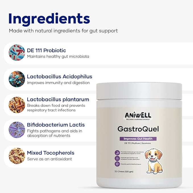 GastroQuel: A New Age Natural Solution for Gut Health, Diaerhea & Bowel Support for Dogs (1)