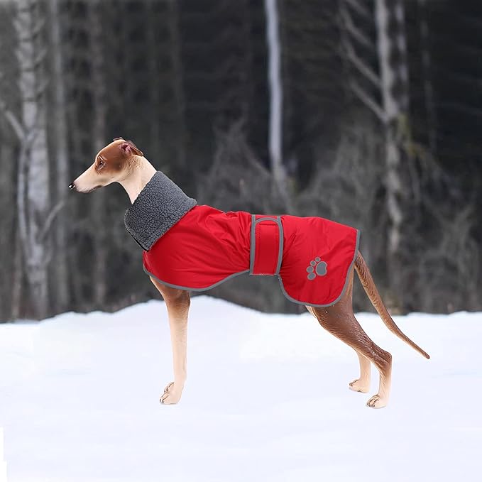 Geyecete Dog Winter Coat Greyhound Raincoat Fabric with Lamb Velvet Inside Outdoor Dog Apparel with Adjustable Bands for Medium, Large Dog-Red-XL
