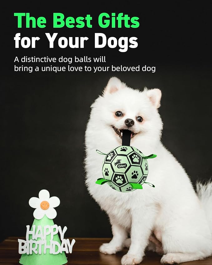 QDAN Premium Dog Ball, Glow in The Dark Dog Toys, Light Up Soccer Ball for Dogs, Outdoor Dog Toys, Doggy Water Toy, Puppy Birthday Gifts for Small Medium (6 Inch)