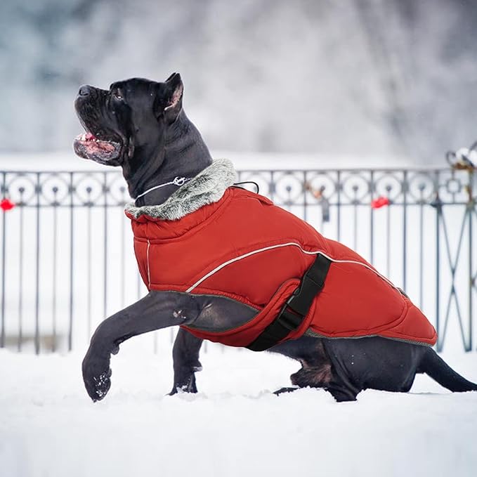 DENTRUN Winter Warm Dog Coat Reflective Jacket with Turtleneck for Cold Weather, Adjustable Buckle Windproof Water Repellent, Thick Snowsuit Fleece Vest for Small, Medium, Large Dogs, Red, XXL