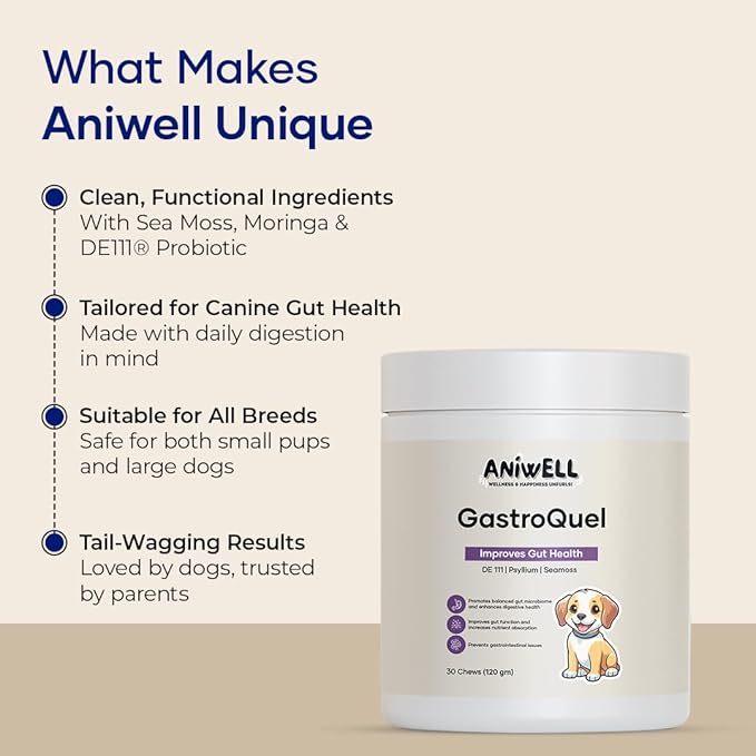GastroQuel: A New Age Natural Solution for Gut Health, Diaerhea & Bowel Support for Dogs (3)