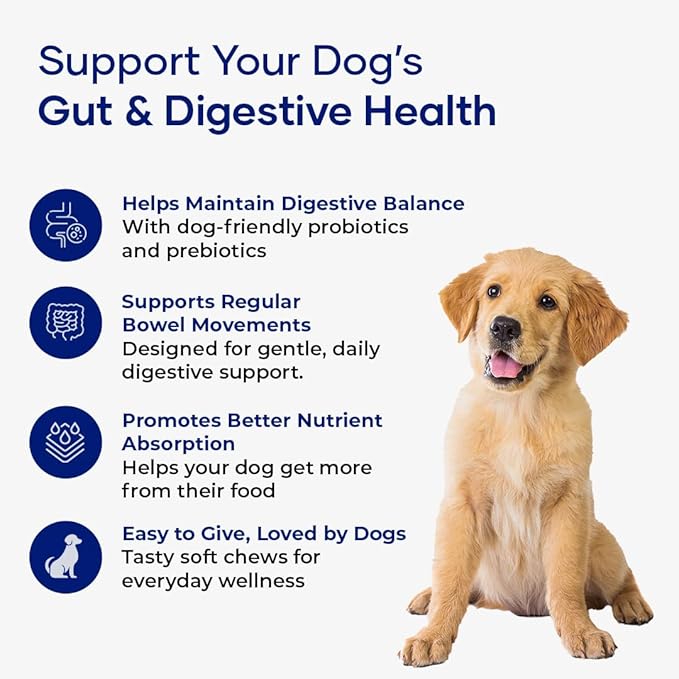 GastroQuel: A New Age Natural Solution for Gut Health, Diaerhea & Bowel Support for Dogs (1)