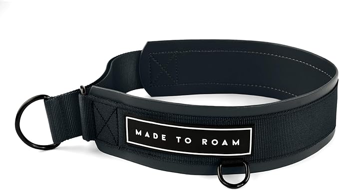 MADE TO ROAM Premium Everyday Dog Collar - Martingale Style No Pull Vegan Leather Collar, Heavy Duty and Lightweight for Small, Medium, Large Dogs (New York Afterlight, Size 4)