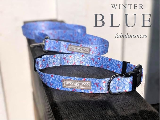 Lucky Love Dog - Adjustable Dog Collar with Easy Click Buckle for Small to Large Dogs, Durable, & Comfortable for Male & Female Dogs, Pet Collar for Puppies & Adult Ones - Winterblue, XS
