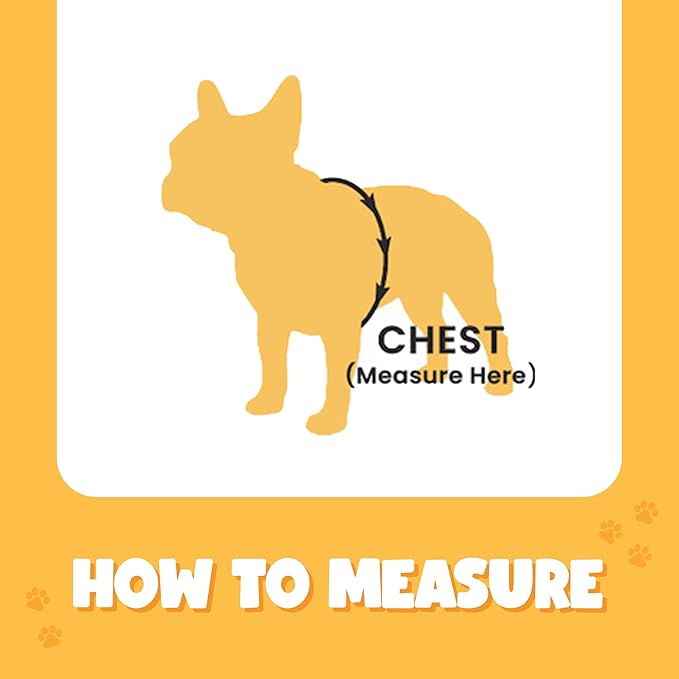 Bark Appeal Purple No-Pull Dog Harness for XS to Small Sized Pets – Adjustable, Reflective Vest with 3 Leash Clips for Added Control, Easy Walks & Training – Small