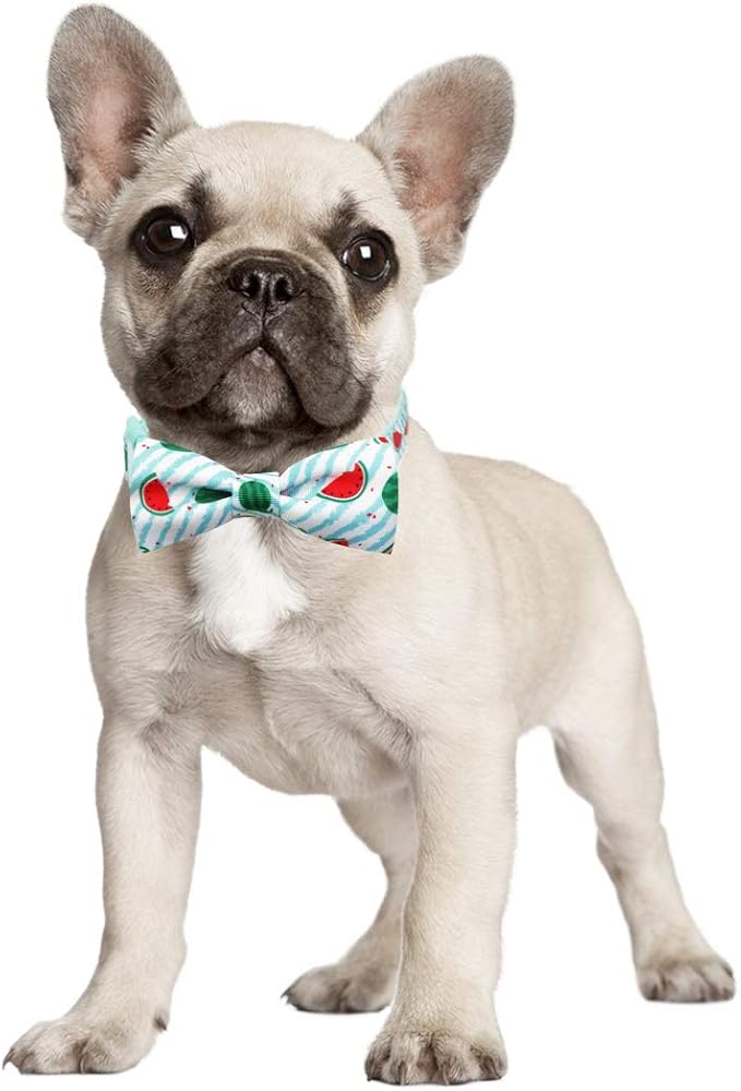 azuza Bowtie Dog Collar, Stylish and Comfy Watermelon Dog Collar with Bow Tie for Puppy and Small Dogs