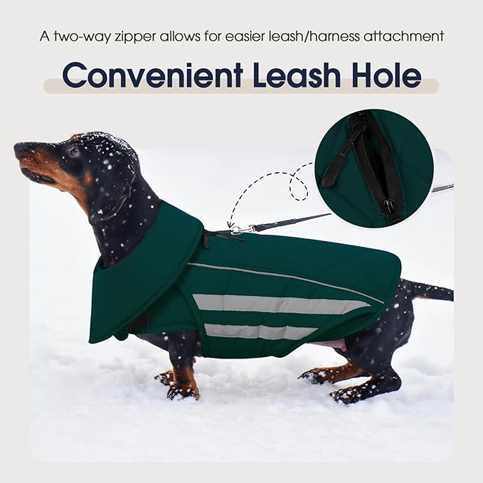 IECOii Dog Coat - Waterproof Winter Coats for Dogs, Windproof Vest for Light Rain, Snow Cold Weather, Reflective & Adjustable Jacket Medium Pets, Warm Fleece Lined Jackets, Dachshund, Green, Size M