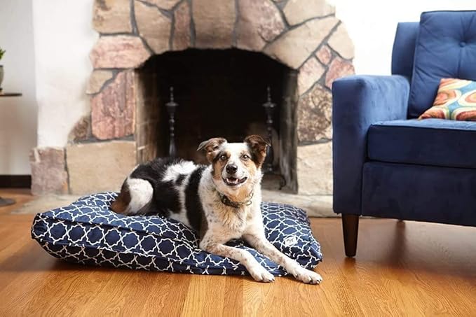 Molly Mutt Sheepy Wool Crate Pad, 100% Cotton Canvas Cover with Soft, Supportive, & Temperature-Regulating 100% Natural Wool-Filled Insert Dog Bed, Crate Mat, Forever Young, 30" x 21" x 2.5"