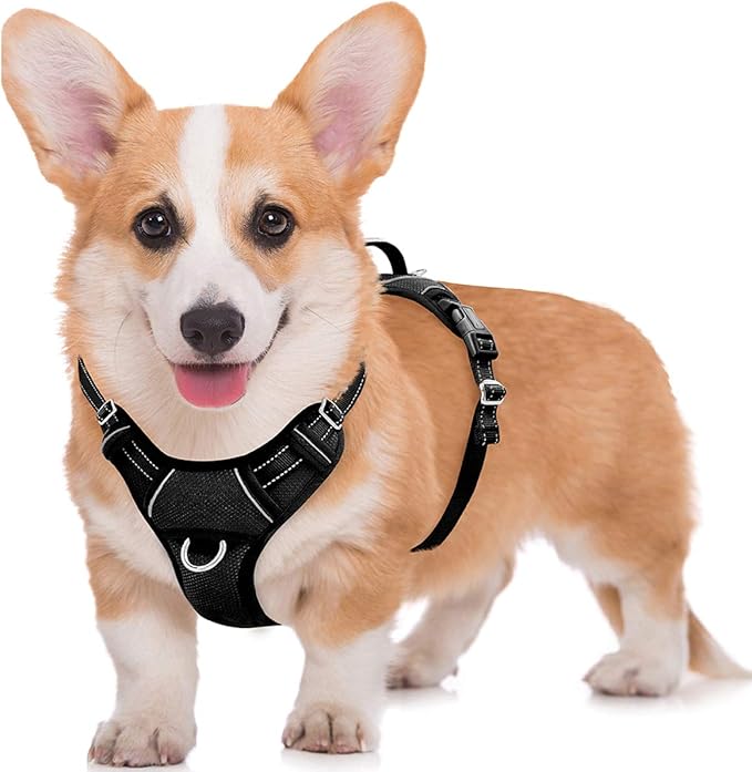 BARKBAY No Pull Dog Harness Large Reflective Dog Harness with Front Clip and Easy Control Handle for Walking Training Running with ID tag Pocket(Black,M)