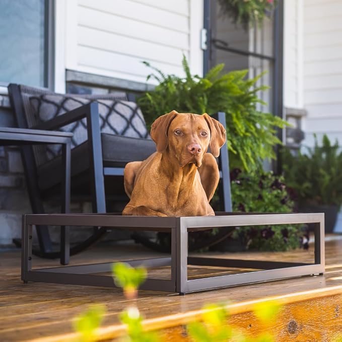 FUZI Luxury Up Pup Elevated Dog Bed, Premium Indoor & Outdoor Raised Pet Bed, Chew-Proof & Durable, Breathable Design for Comfort & Support, Dog Cot Small 26x17x8 Dark Brown