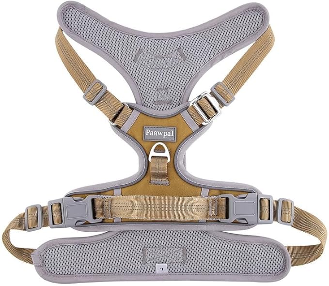 Adjustable Dog Harness - No Pull, Reflective, Soft Padded for Small, Medium, Large Dogs - Includes Leash Beige S