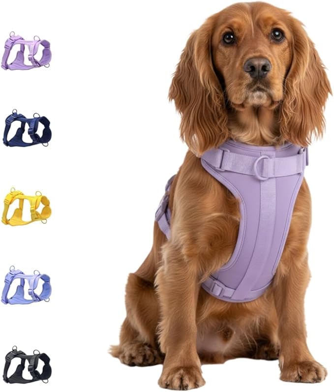 Dog Harness, No-Pull Pet Harness with 3 Leash Clips, Adjustable Soft Padded Dog Vest, Breathable Mesh Cushion for Small Medium Large Dogs (Purple, Medium (Neck:15"-19" Chest 22"-30"))