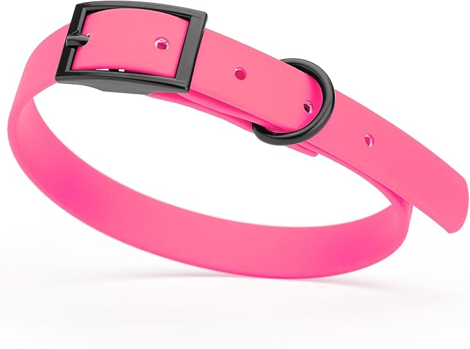 Dogline Biothane Coated Webbing Dog Collar with Black Metal Hardware: Durable Easy-Clean Everyday Collar for Dogs - Comfortable Adjustable Odor-Resistant Pet Collar, W5/8" x L12-15, Passionfruit Pink