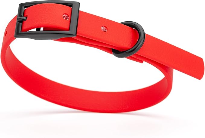 Dogline Biothane Coated Webbing Dog Collar with Black Metal Hardware: Durable Easy-Clean Everyday Collar for Dogs - Comfortable Adjustable Odor-Resistant Pet Collar, W1/2" x L9-12, Cherry Red