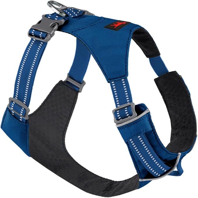 Tuff Pupper All-Day Wear Dog Harness | for Walking, Trail Running, Hiking | Front & Back Leash Clips | Reflective Trim | Easy On/Off Buckles | Lightweight Breathable | No Pull Design (XS, Blue)