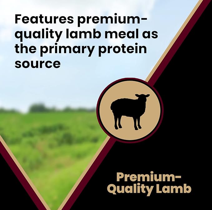 VICTOR Super Premium Dog Food – Lamb Meal & Brown Rice Formula - Gluten-Free Dry Dog Food for All Normally Active Dogs of All Life Stages – Ideal for Dogs with Meat Protein Allergies, 5 lb