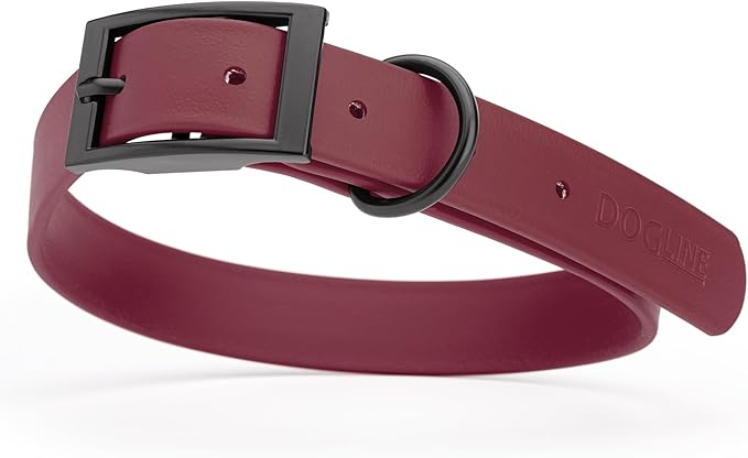 Dogline Biothane Coated Webbing Dog Collar with Black Metal Hardware: Durable Easy-Clean Everyday Collar for Dogs - Comfortable Adjustable Odor-Resistant Pet Collar, W1 x L22-25", Merlot Burgundy