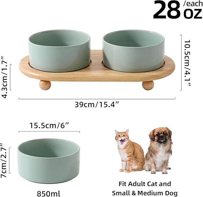 Havniva Ceramic Elevated Dog Bowls, Food and Water Bowls for Dogs, Puppy, Raised Dog Dish, Pet Feeder(6inch, 2 x Light Green + Stand)