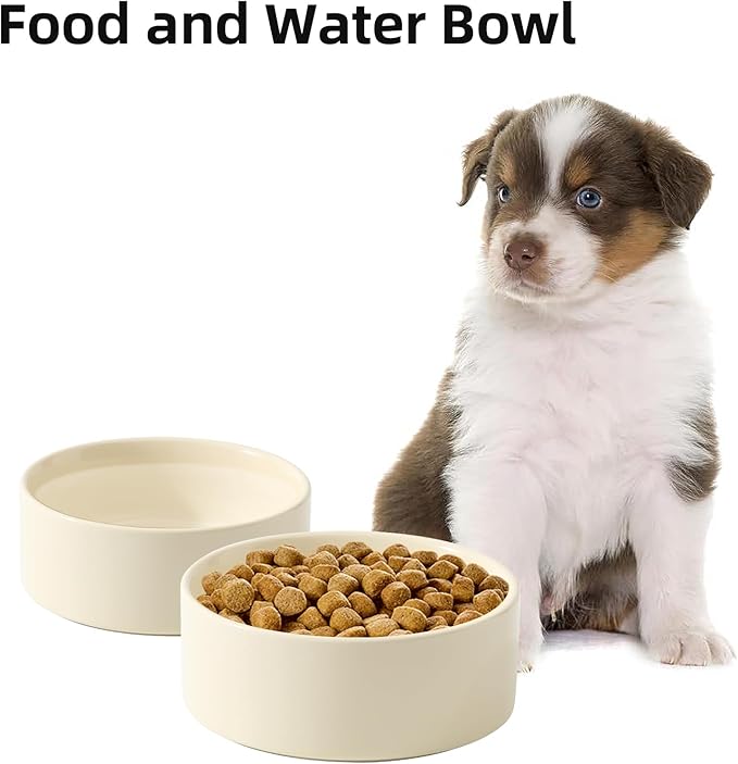 Havniva Ceramic Set of 2 Dog Bowls, Food and Water Bowls for Dogs, Puppy, 2pcs Pet Dishes(6inch, 2 x Beige Bowls)