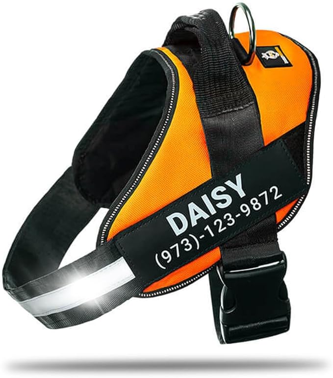 Personalized No-Pull Dog Harness with Name Patch, Adjustable, Reflective, Padded, Heavy Duty Pet Vest to Prevent Tugging, Pulling, or Choking, Training and Walking, Orange, XL