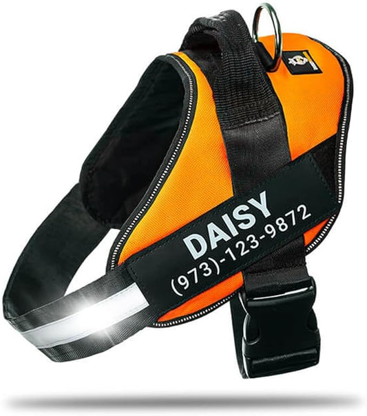 Personalized No-Pull Dog Harness with Name Patch, Adjustable, Reflective, Padded, Heavy Duty Pet Vest to Prevent Tugging, Pulling, or Choking, Training and Walking, Orange, XL