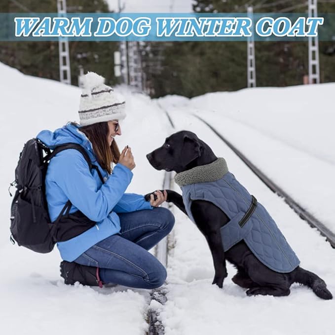 Dog Coats for Cold Weather, Fleece Lining Small/Medium/Large Dog Jackets for Winter, Reflective Adjustable Doggie Winter Clothes for X-Large Dogs, Blue XL