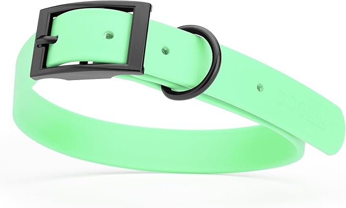 Dogline Biothane Coated Webbing Dog Collar with Black Metal Hardware: Durable Easy-Clean Everyday Collar for Dogs - Comfortable Adjustable Odor-Resistant Pet Collar, W1 x L22-25", Sea Foam Green