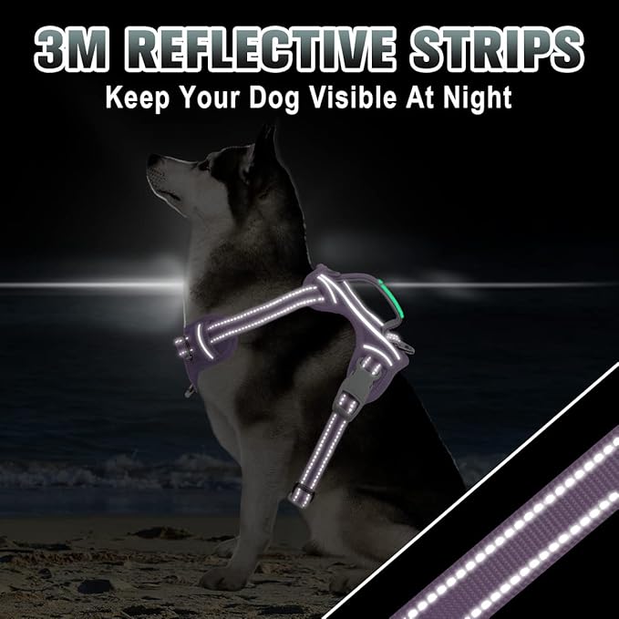 BARKBAY No Pull Dog Harness Large Reflective Dog Harness with Front Clip and Easy Control Handle for Walking Training Running with ID tag Pocket(Violet Purple,S)