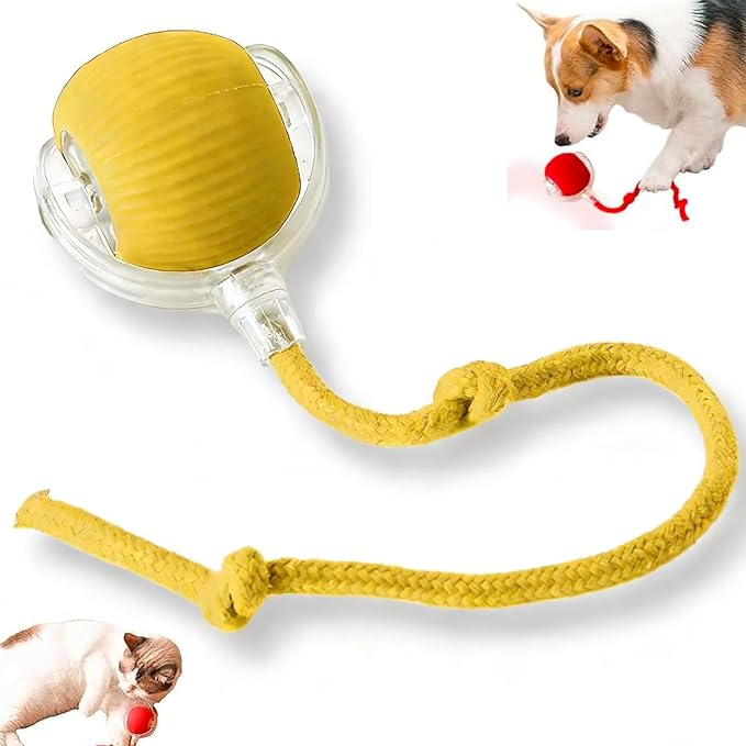 Zarutor Interactive Rolling Ball, 360° Smart Automatic Rolling Electric Dog Ball, Chase Mate Cat Toy, Durable and Safe, Fast Rolling Toy for Dogs and Cats (Yellow)