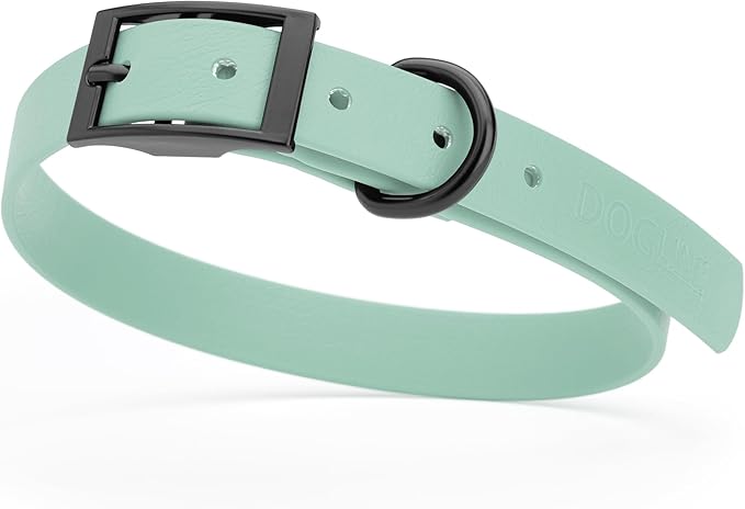 Dogline Biothane Coated Webbing Dog Collar with Black Metal Hardware: Durable Easy-Clean Everyday Collar for Dogs - Comfortable Adjustable Odor-Resistant Pet Collar, W3/4" x L15-18, Sage Green
