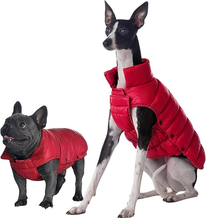 SPACE LION Dog Puffer Jacket, Down Winter Coat, Durable Outdoor Coat for Cold and Windy Conditions, Lightweight & Adjustable Fit Coats for Medium & Large Dogs, (Chili, Size 16 Gift Box)