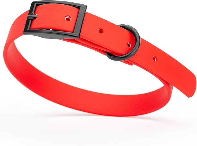 Dogline Biothane Coated Webbing Dog Collar with Black Metal Hardware: Durable Easy-Clean Everyday Collar for Dogs - Comfortable Adjustable Odor-Resistant Pet Collar, W5/8" x L12-15, Cherry Red