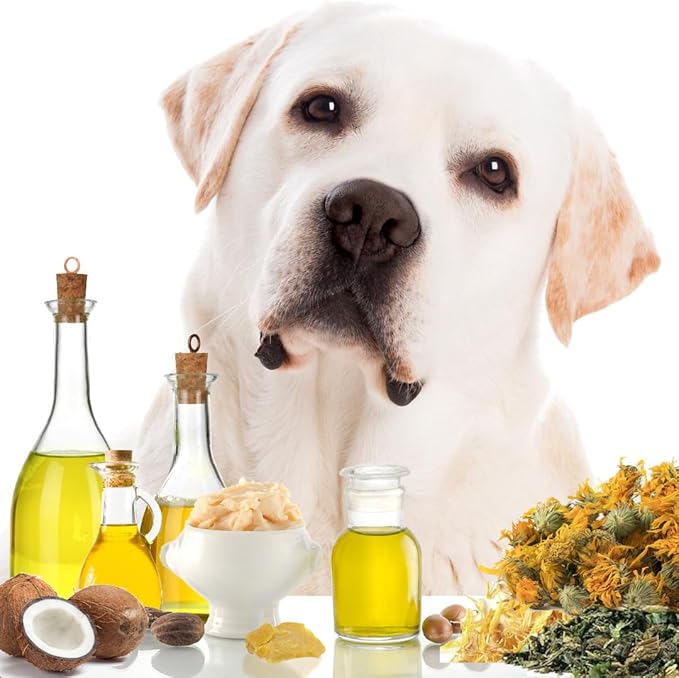 The Blissful Dog Paw Butter, Moisturizer for Dry Paw Pads, Softens and Protects a Rough Paw in Winter, Versatile, Lick-Safe Dog Paw Pad Balm, 2 oz.
