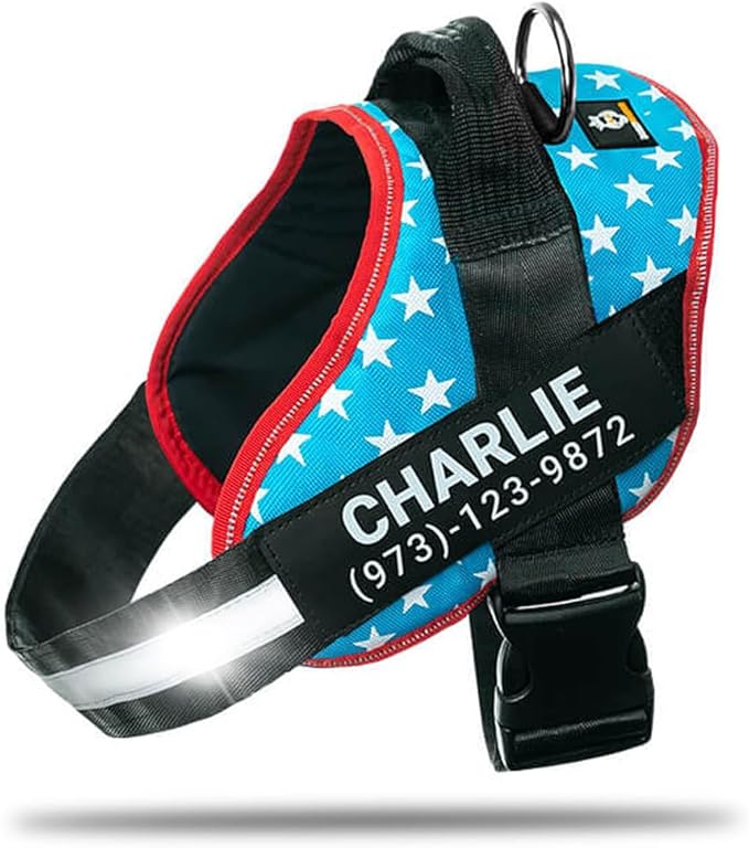 Personalized No-Pull Dog Harness with Name Patch, Adjustable, Reflective, Padded, Heavy Duty Pet Vest to Prevent Tugging, Pulling, or Choking, Training and Walking, Light Blue, XL