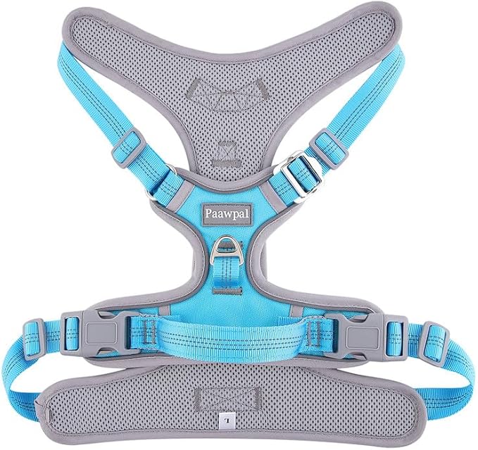Adjustable Dog Harness - No Pull, Reflective, Soft Padded for Small, Medium, Large Dogs - Includes Leash and Collar Turquoise L