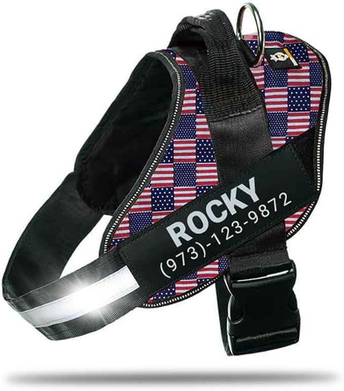 Personalized No-Pull Dog Harness with Name Patch, Adjustable, Reflective, Padded, Heavy Duty Pet Vest to Prevent Tugging, Pulling, or Choking, Training and Walking, US Flag, XS