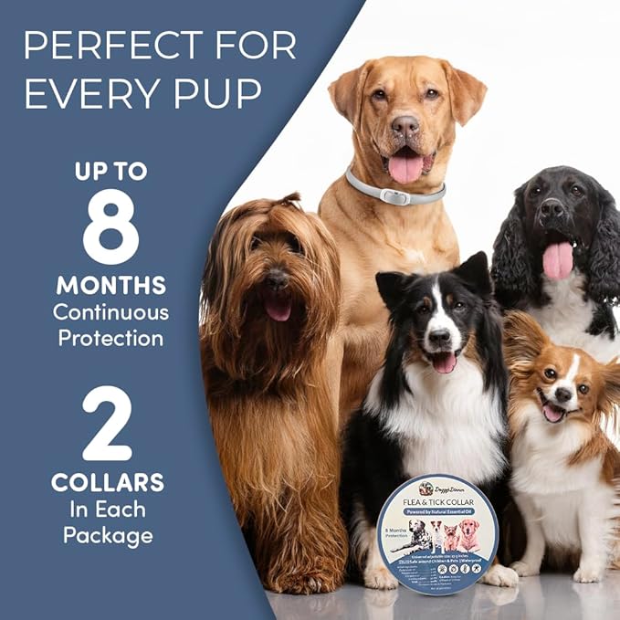 Flea and Tick Prevention for Dogs and Cats - All Natural 8-Month Flea Collar for Dogs, Effective Dog Flea & Tick Control, Chemical-Free Flea Collars, No Pesticides