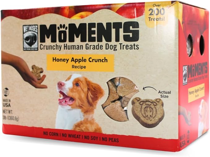 Wet Noses Moments Non-GMO Honey Apple Crunch Bears Crunchy Dog Treats - 3lb | No Corn, Wheat, Soy or Peas, Made with 9 Simple Ingredients