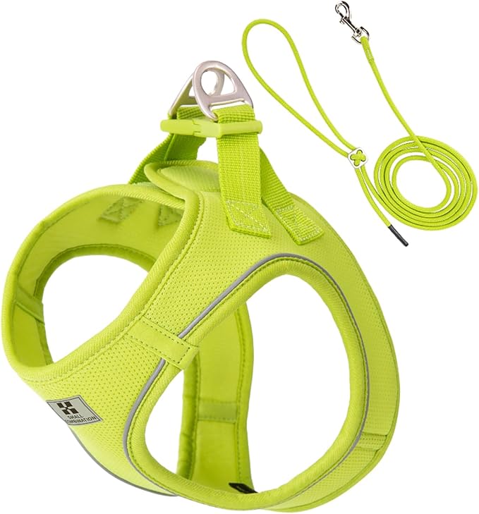 Adjustable Dog Harness with Leash, Reflective Mesh, No-Pull Design，Matching Lead Rope (Lemon Yellow, XXXS)