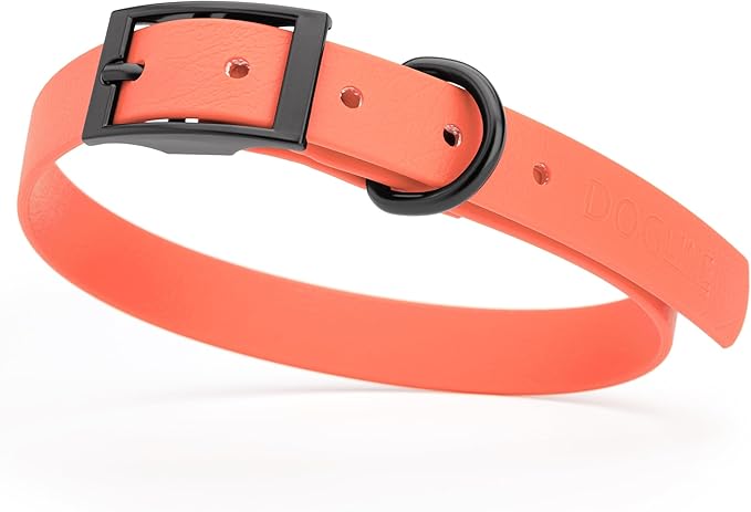 Dogline Biothane Coated Webbing Dog Collar with Black Metal Hardware: Durable Easy-Clean Everyday Collar for Dogs - Comfortable Adjustable Odor-Resistant Pet Collar, W3/4" x L15-18, Coral