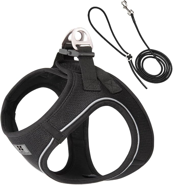 Adjustable Dog Harness with Leash, Reflective Mesh, No-Pull Design，Matching Lead Rope (Black, XXXS)