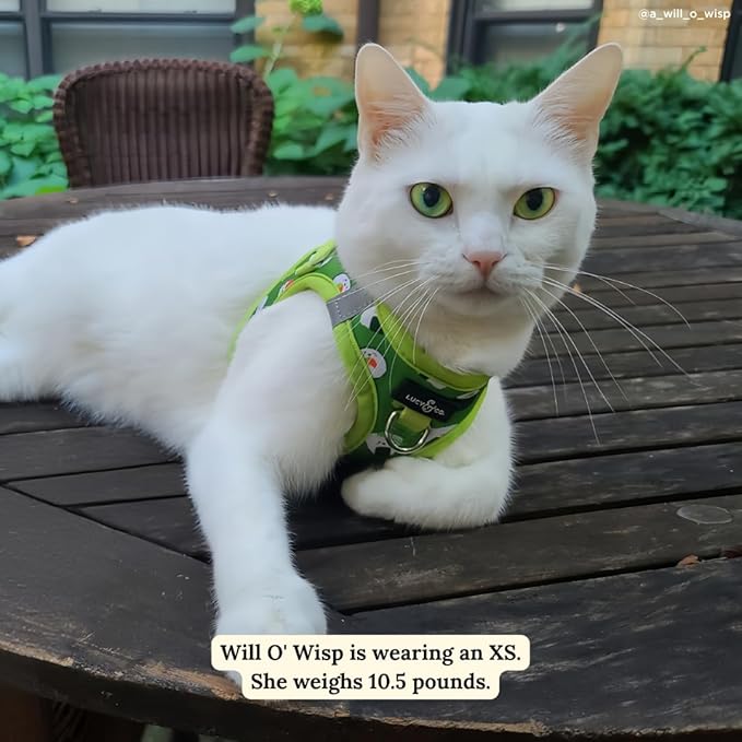 Lucy & Co. How I Roll Step-in Cat Harness & Leash Bundle – Reflective, Breathable & Adjustable Harness for Cats, Kittens & Small Dogs, Lightweight & Secure and Dual Leash Clips – Medium