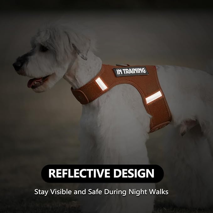 Dog Harness for Puppy – Adjustable Reflective Easy Put On Soft Mesh Vest for Small Dogs with 2 Patches (Carmel Brown,L)