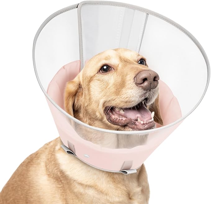 Dog Cone Collar with Snap-on Detachable Soft Liner, Lightweight Transparent Elizabethan Alternative to Stop Licking, for Spay Neuter Surgery Recovery, for Medium Large Small Dogs (Pink,S)