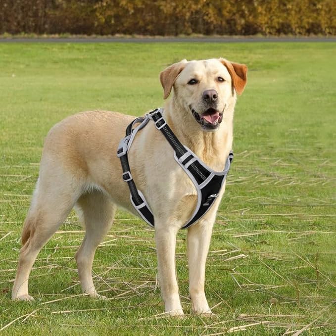 Adjustable Dog Harness - No Pull, Reflective, Soft Padded for Small, Medium, Large Dogs - Includes Leash Black M